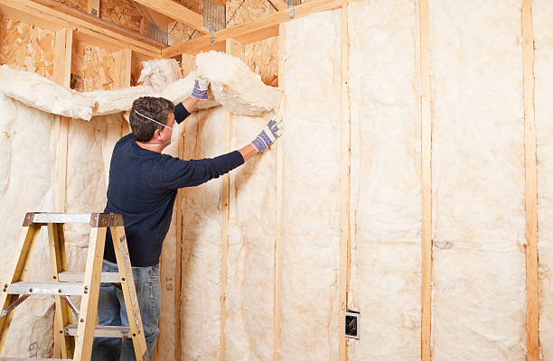 Best Reflective Insulation in Pomeroy, OH